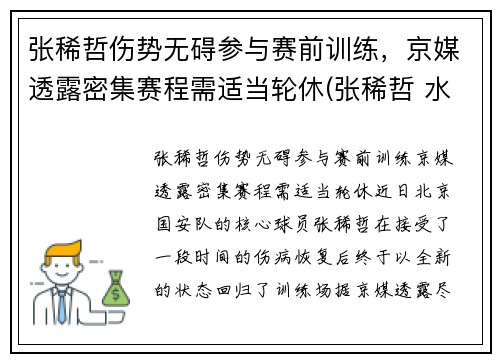张稀哲伤势无碍参与赛前训练，京媒透露密集赛程需适当轮休(张稀哲 水平)