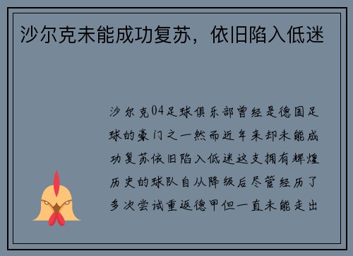沙尔克未能成功复苏，依旧陷入低迷