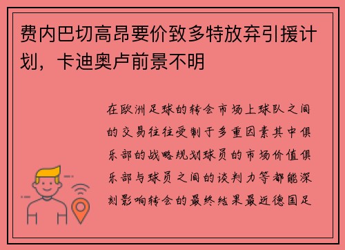 费内巴切高昂要价致多特放弃引援计划，卡迪奥卢前景不明